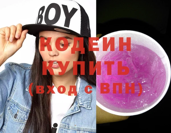 ешки Бородино