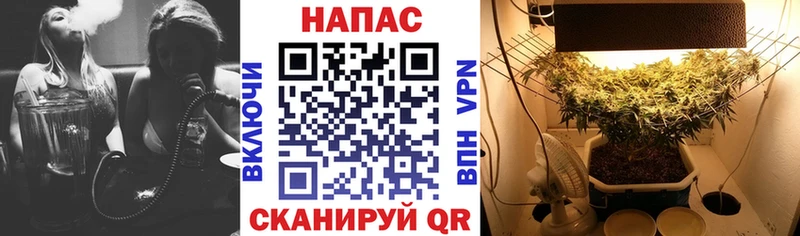 Марихуана VHQ  Тулун 